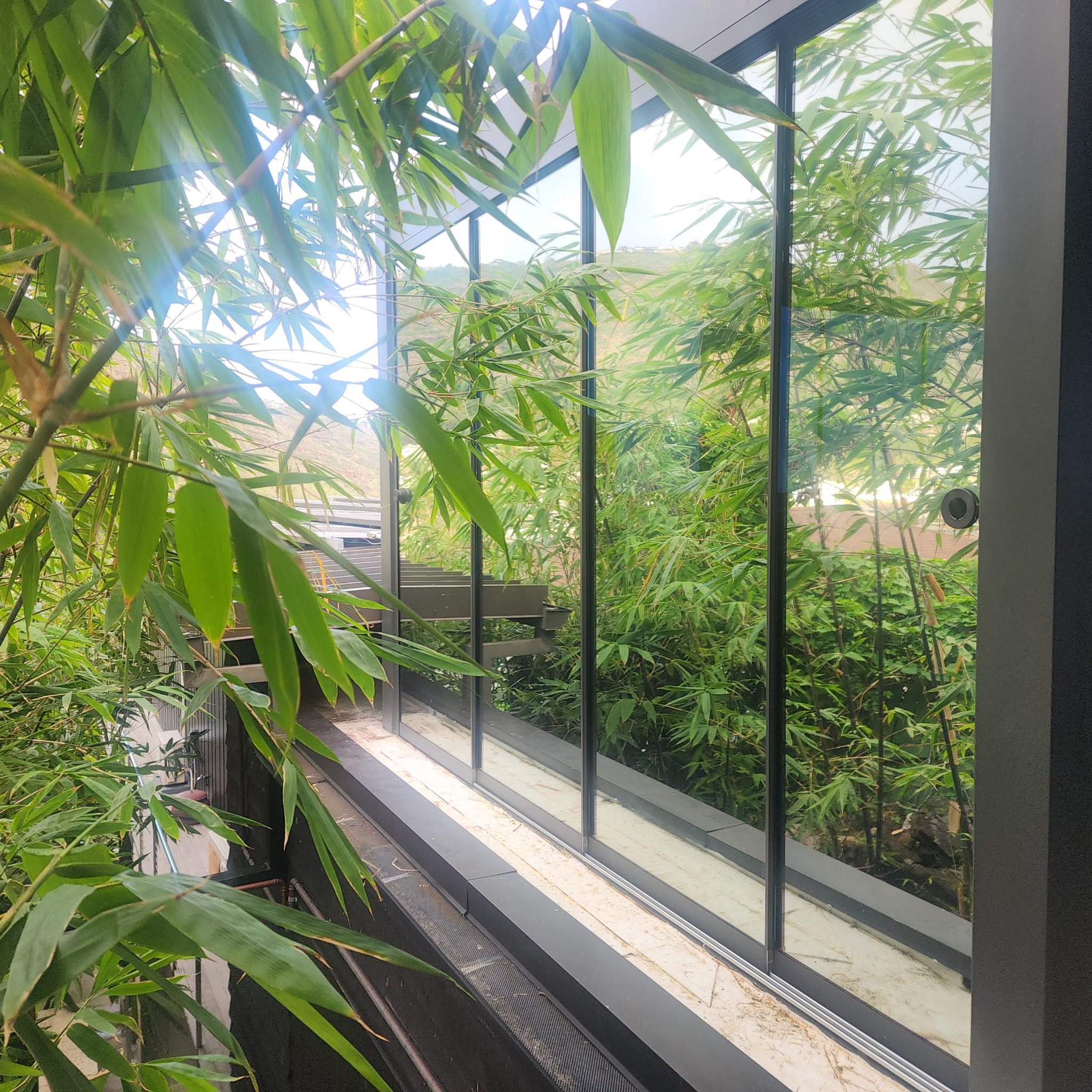 Residential Window Tinting project photo